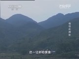 地理中国 《地理中国》 20140115 奇怪的佛影