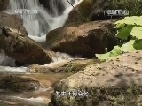 地理中国 《地理中国》 20140428 鬼谷岭之谜