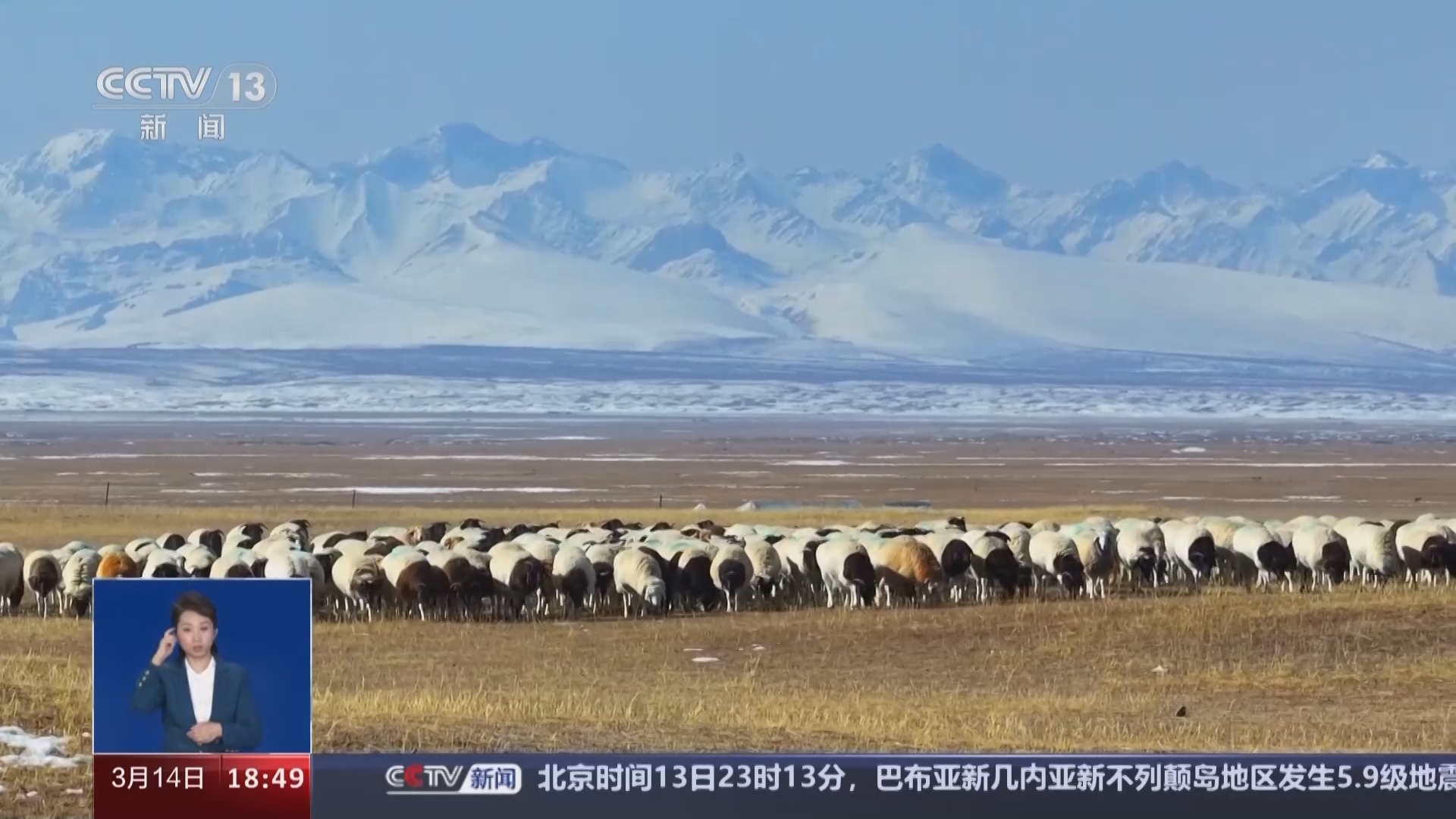 共同关注 《共同关注》 20240314