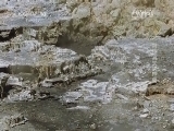 自然传奇 《自然传奇》 20141225 寻找消失的巨兽