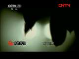 今日说法 《今日说法》 20111024 案发现场的女人