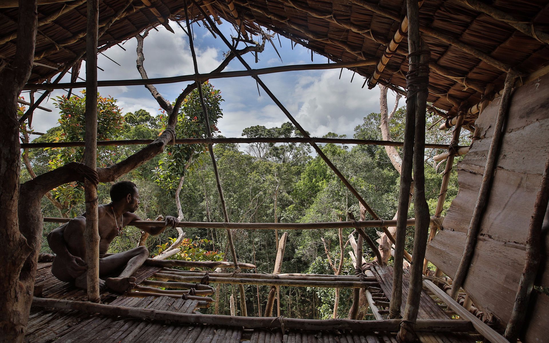 夜捕树鼠现捉现吃