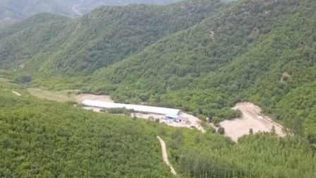 点赞我家乡 公益大使走访香菇基地