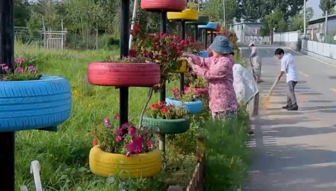 三农群英汇 《三农群英汇》 20201111 “磨”上花开