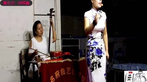 河南坠子 河南坠子 王建国 响马传