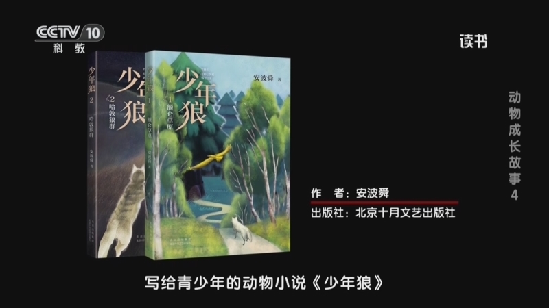 读书 《读书》 20260809 安波舜 《少年狼》 动物成长故事 4