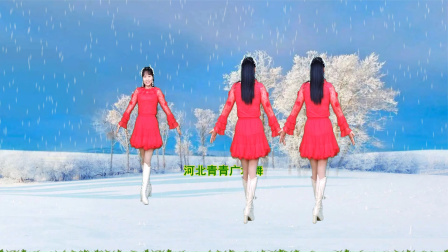 新潮火爆DJ广场舞《看花不是花》64步演示分解