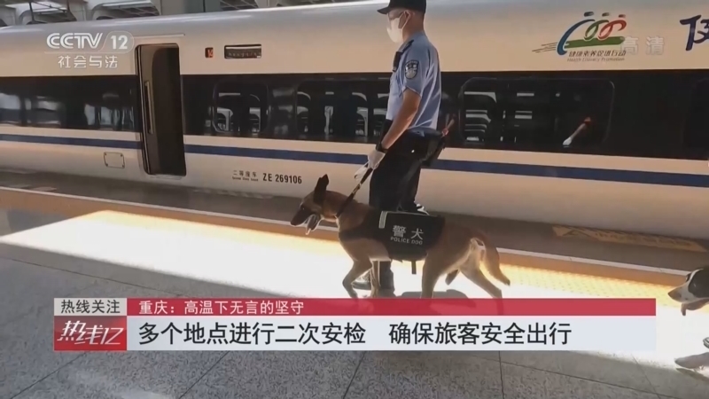 热线12 《热线12》 20220826