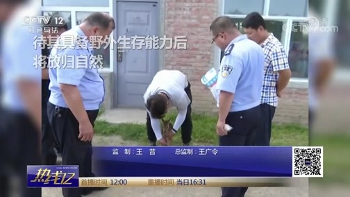 热线12 《热线12》 20190722