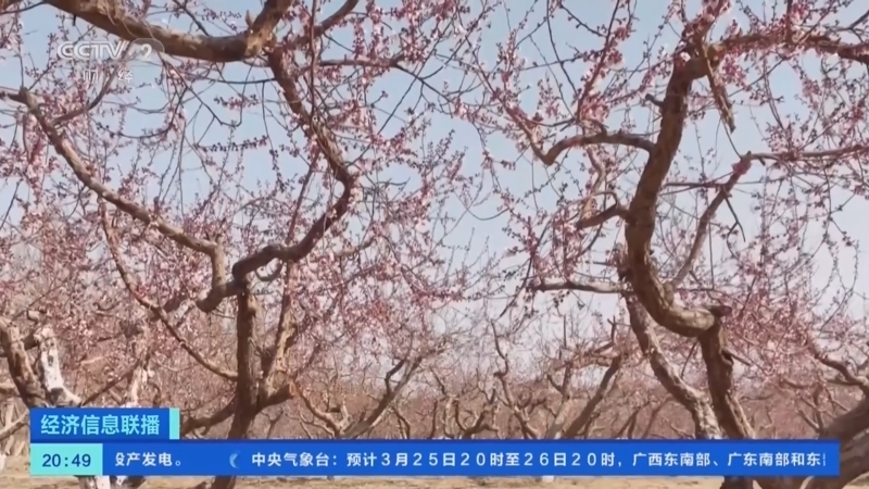 经济信息联播 《经济信息联播》 20230325