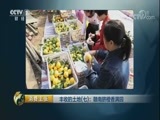 消费主张 《消费主张》 20171122 丰收的土地（七）：赣南脐橙香满园