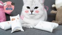 举起爪儿来 纸筒秒变猫玩具 14