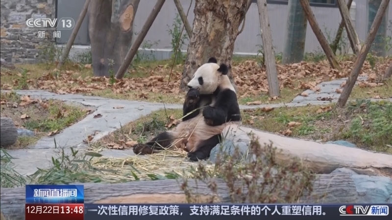 新闻直播间 《新闻直播间》 20251222 13:00