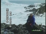 人与自然 《人与自然》 20130716 自然发现 大门关闭
