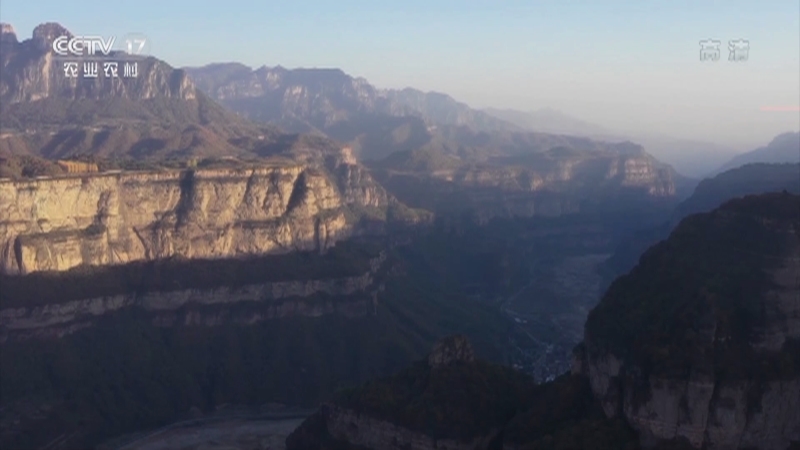 《我的美丽乡村》 20210702 诗情画意致富路