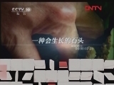 地理中国 《地理中国》 20120304 会生长的石头