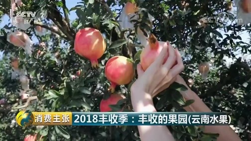 消费主张 《消费主张》 20180925 2018丰收季：丰收的果园（云南水果）