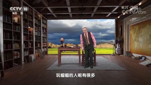 地理中国 《地理中国》 20190224 奇居胜境·石中谜虫