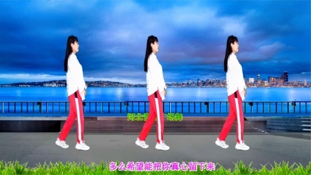 动感健身舞《男人的无奈》简单32步附教学