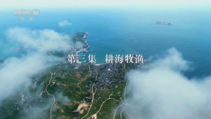 味道 《味道》 20250710 味道中国·大海篇 第3集 耕海牧渔