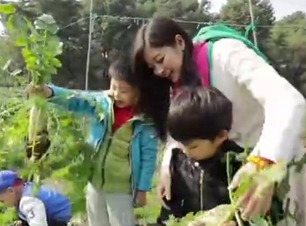 二更视频 开在森林里的学校