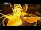 风华国乐 风华国乐 2011年 第132期
