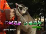 绿野寻踪 绿野寻踪 2010年 第49期