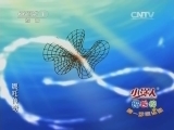 第1动画乐园 《第1动画乐园（下午版）》 20150313 2/2