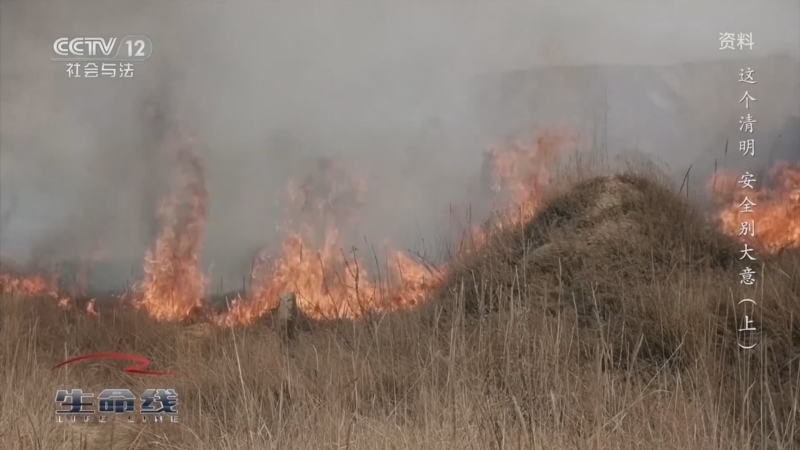 《生命线》 20260405 这个清明 安全别大意（上）