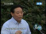 新闻联播 新闻联播 2010-07-30 21:00