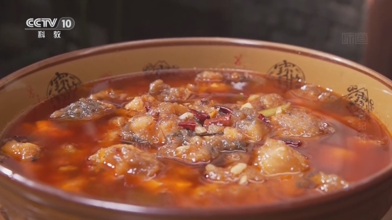 味道 《味道》 20260802 暑期美食纪（14）