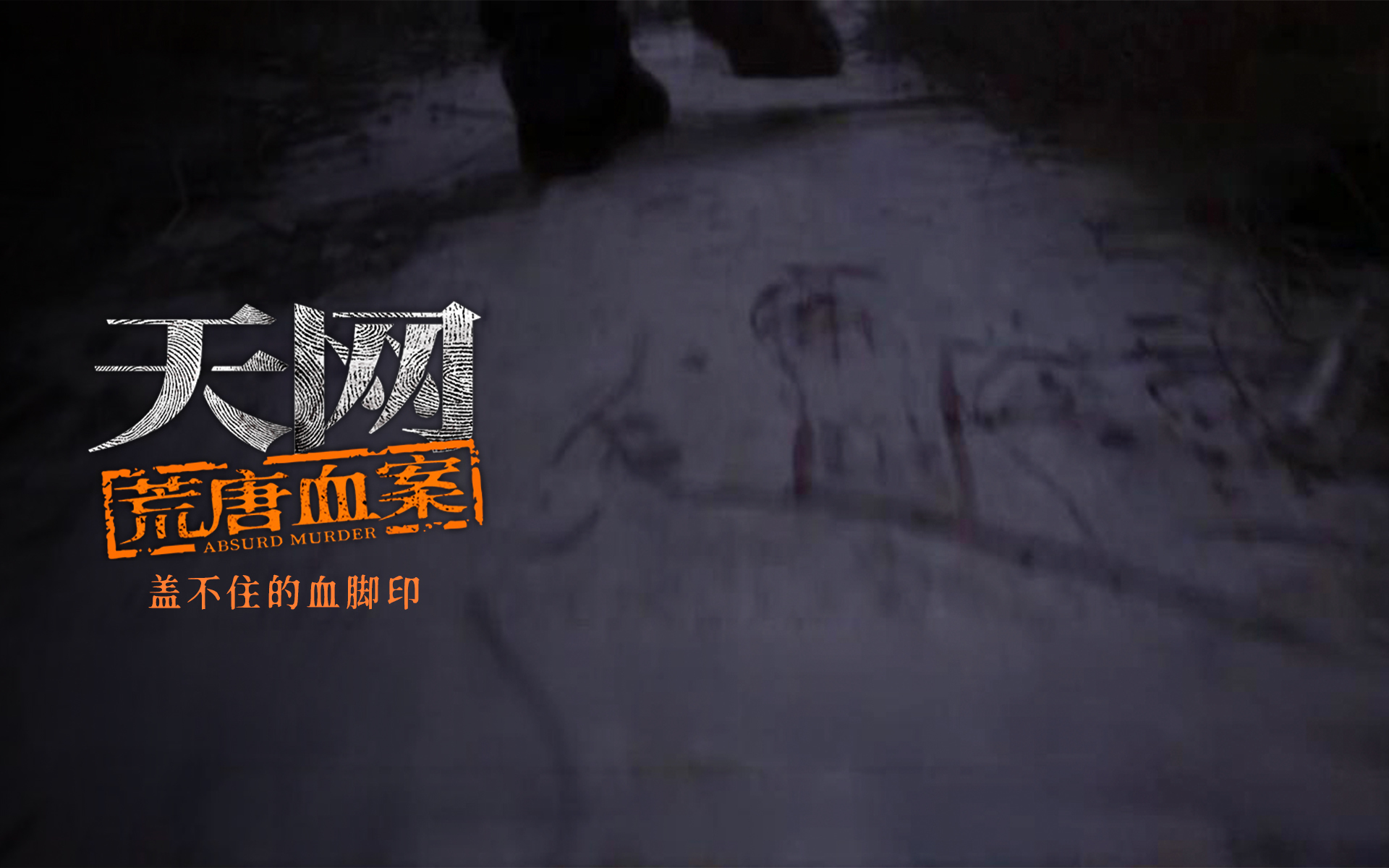天网:荒唐血案 盖不住的血脚印