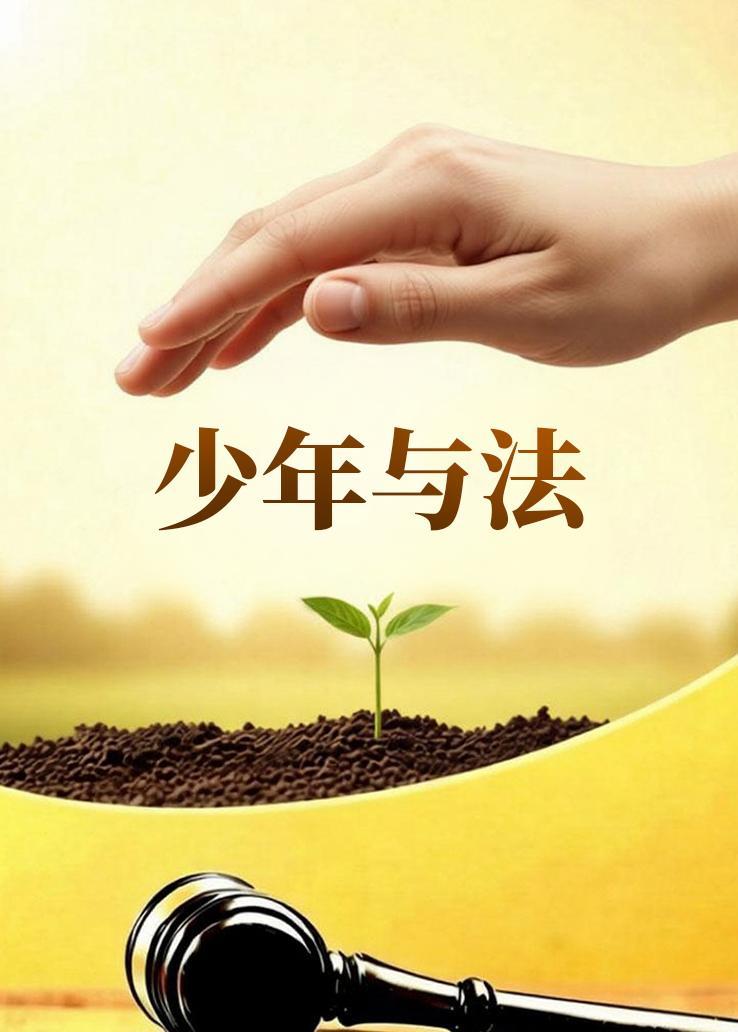 少年与法