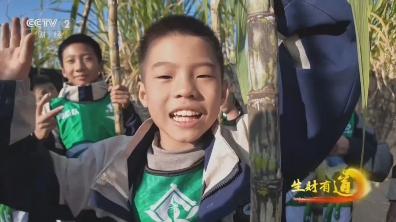 《生财有道》 20260109 蔗香醇厚 一口红糖忆乡情