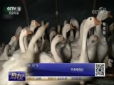 热线12 《热线12》 20170929