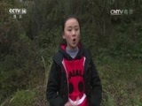 快乐体验 《快乐体验》 20170309