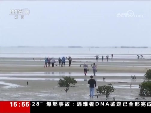 新闻直播间 《新闻直播间》 20181202 15:00