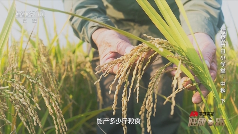 健康之路 《健康之路》 20230929 传统节日小学堂·中秋（下）