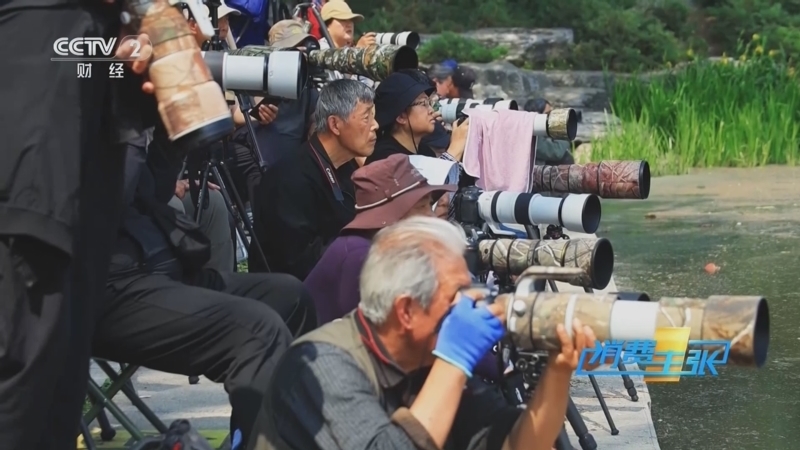 消费主张 《消费主张》 20250516 生态旅游成为黄金线路：观鸟经济火热