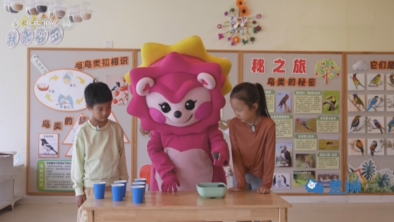 智慧树 《智慧树》 20260811