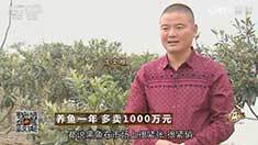 致富经 [致富经]养鱼一年 多卖1000万元 20160923
