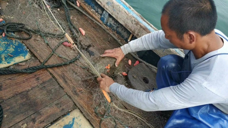 南澳岛赶海日记 彪哥改行出海网石头，连“翡翠原石”都上来了，这次能不发财吗？