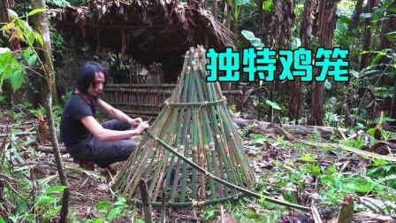 原始丛林人苏门答腊 第二季 丛林荒野求生，手工制作鸡笼，小日子越来越滋润了