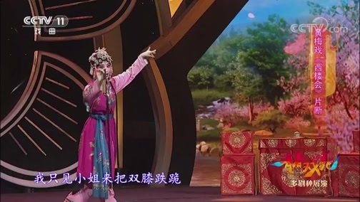 青春戏苑 《青春戏苑》 20190105 多剧种展演