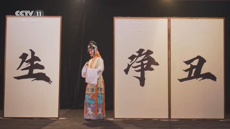 《青春戏苑》 20260508 正华年 总台首届青年京剧演员大会集萃