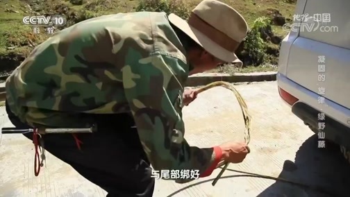 地理中国 《地理·中国》 20200513 凝固的“旋律”·绿野仙藤