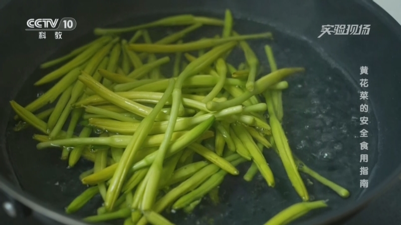 实验现场 《实验现场》 20260717 黄花菜的安全食用指南