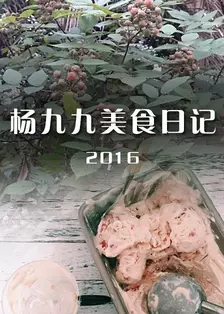 《杨九九美食日记 第一季》海报