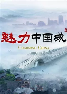 魅力中国城 第二季 海报