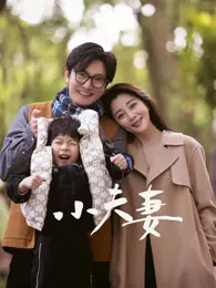 小夫妻 海报